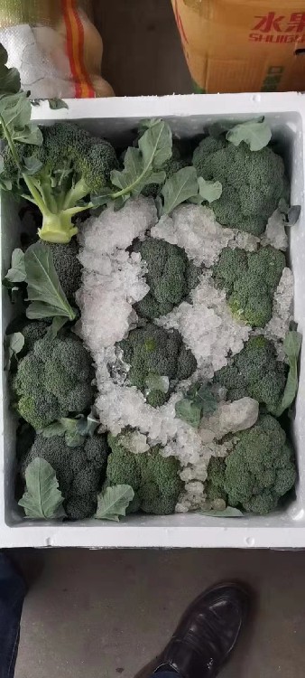 厦门蔬菜配送与工厂食材配送 电子商务驱动下的高效供应链新格局